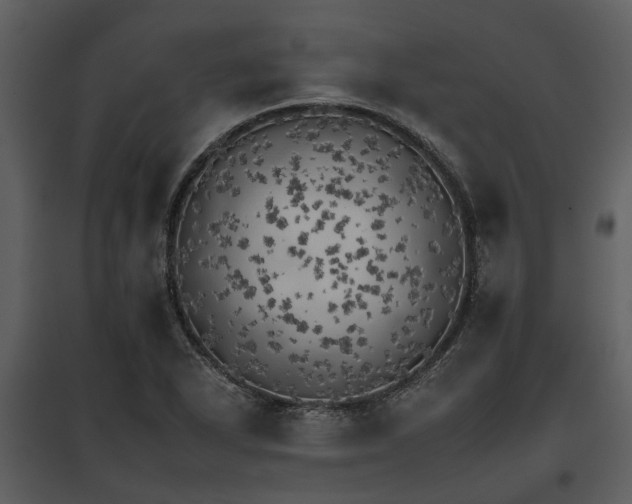 X0000095671318200801151055