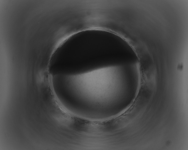 X0000095671319200801151055