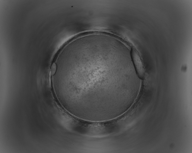 X0000095671320200801151055