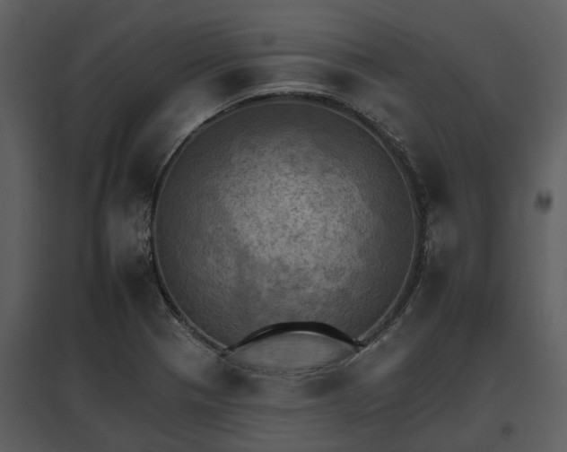 X0000095671321200801151055