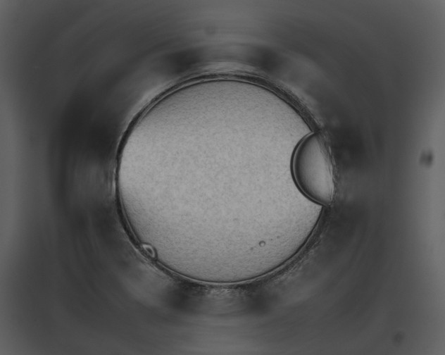 X0000095671322200801151055