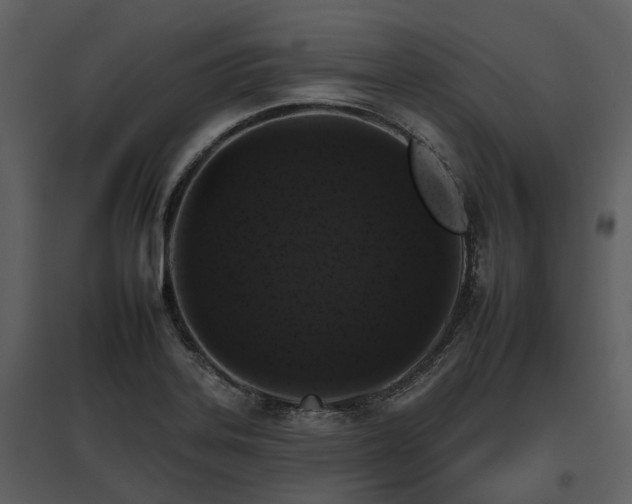 X0000095671323200801151055