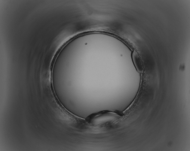 X0000095671324200801151055