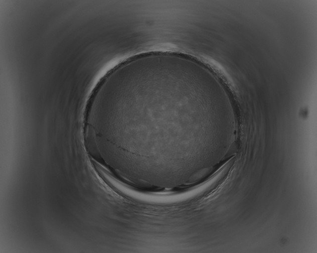 X0000095671326200801151055