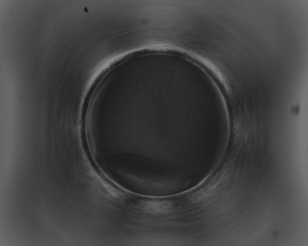 X0000095671327200801151055