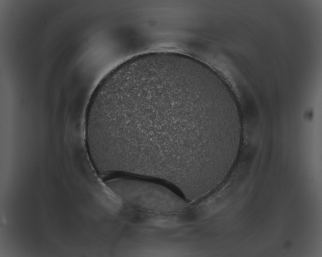 X0000095671328200801151055