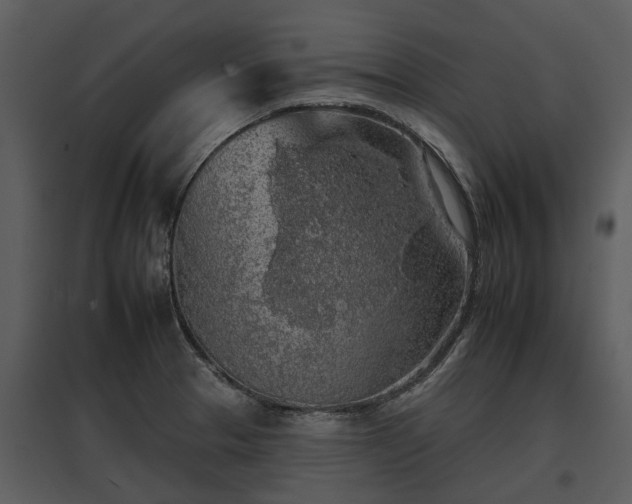 X0000095671329200801151055