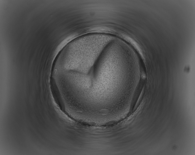 X0000095671330200801151055