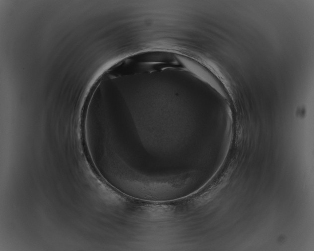 X0000095671331200801151055