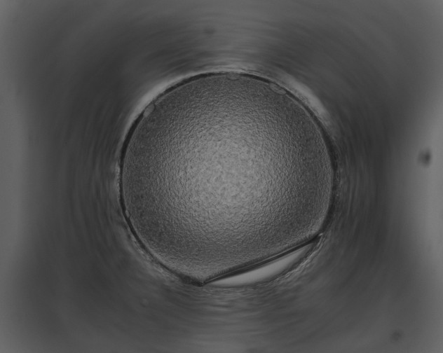 X0000095671332200801151055