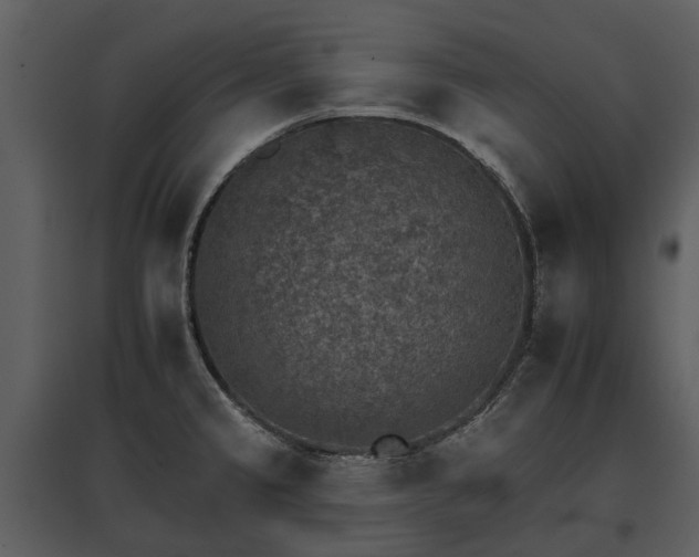 X0000095671333200801151055