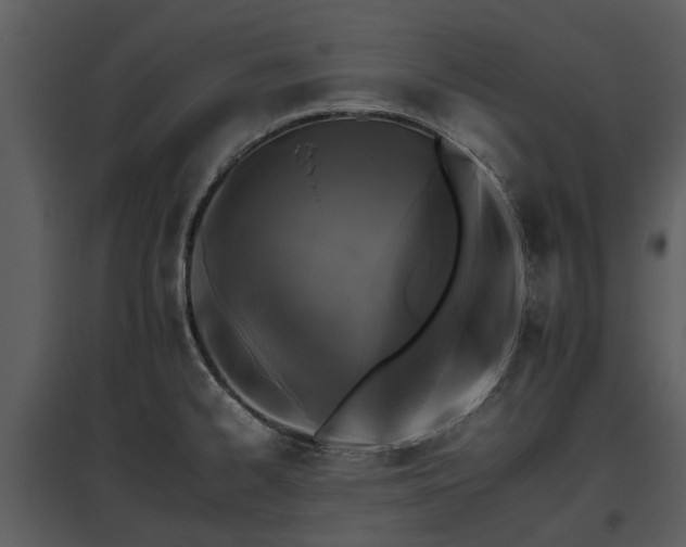 X0000095671334200801151055