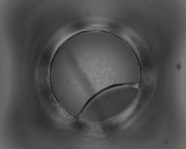 X0000095671336200801151055