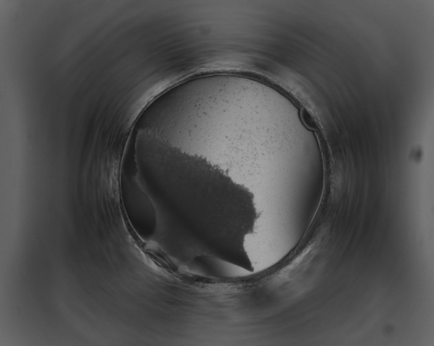 X0000095671337200801151055