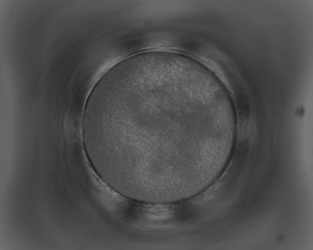 X0000095671338200801151055