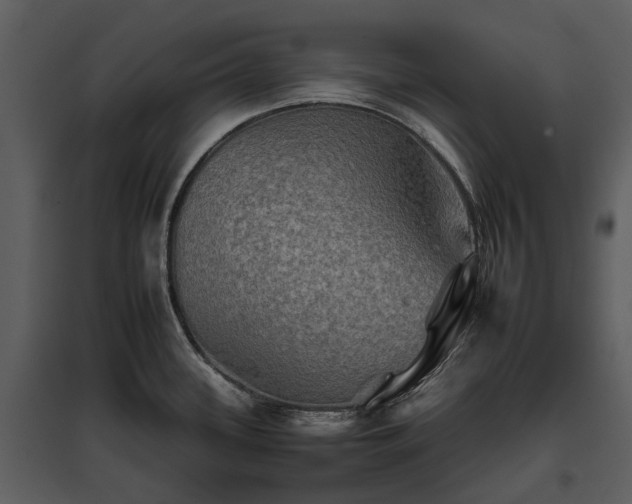 X0000095671339200801151055