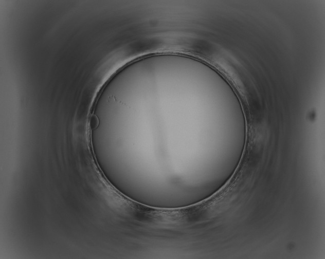 X0000095671340200801151055