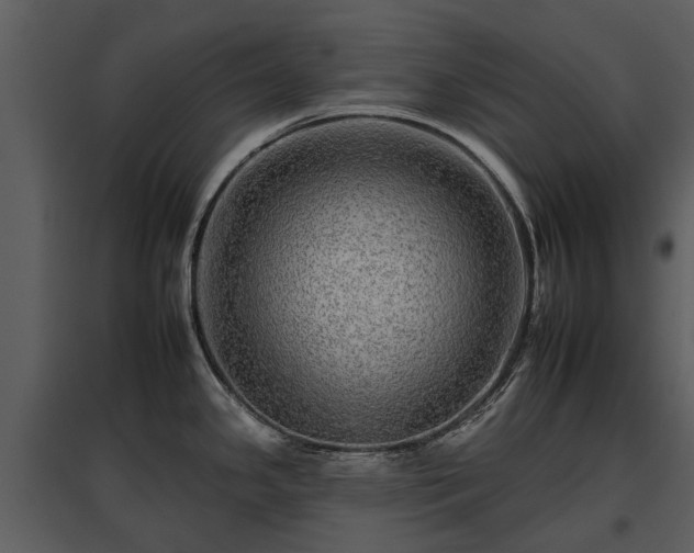 X0000095671341200801151055