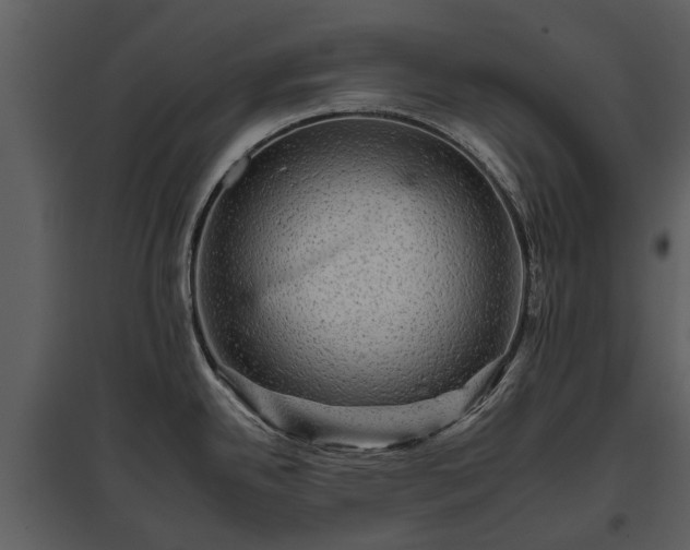 X0000095671342200801151055