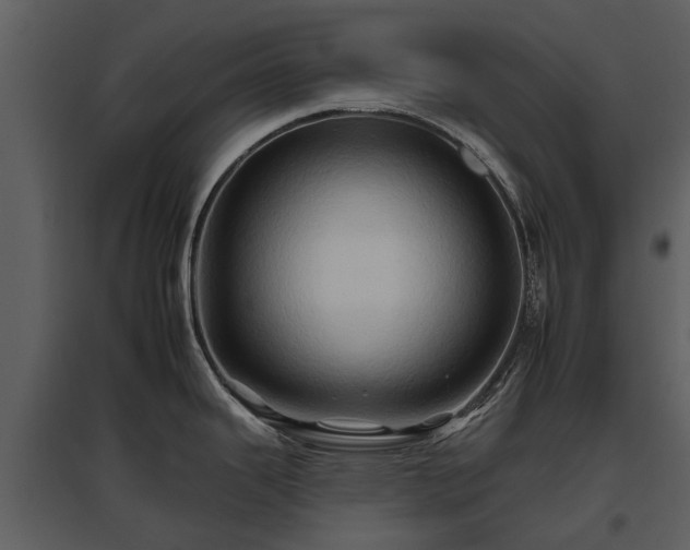 X0000095671343200801151055