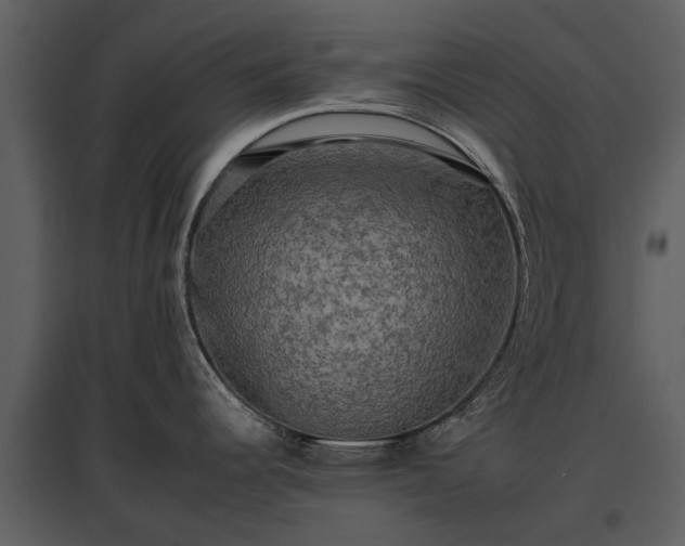 X0000095671344200801151055