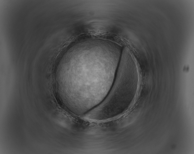 X0000095671345200801151055