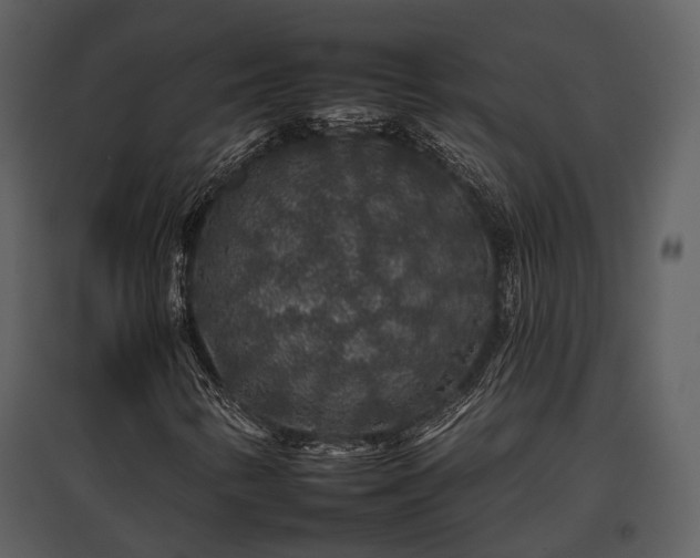 X0000095671346200801151055