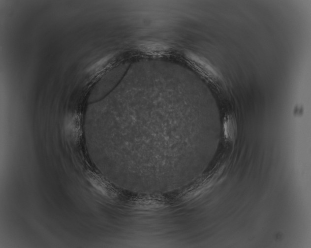 X0000095671347200801151055