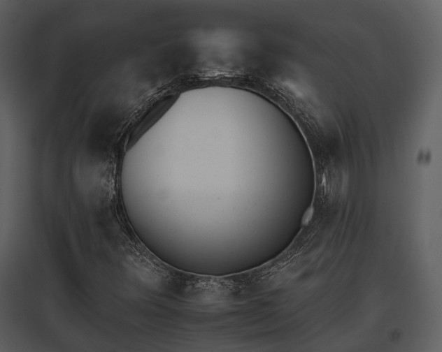 X0000095671348200801151055