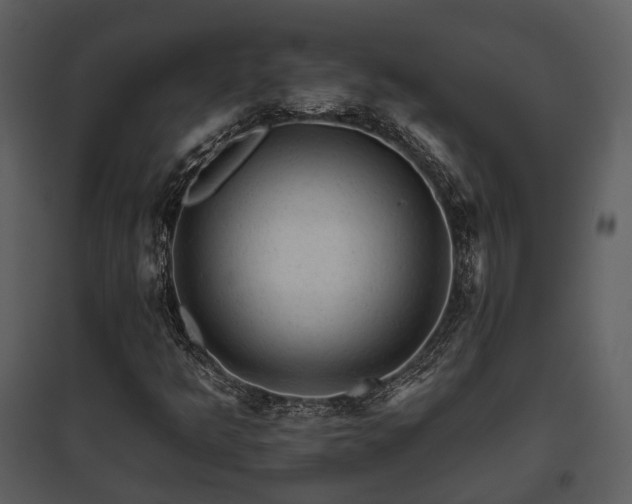 X0000095671349200801151055