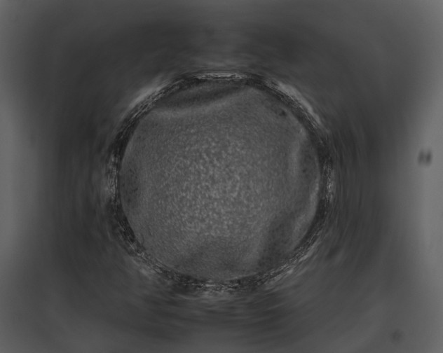 X0000095671350200801151055