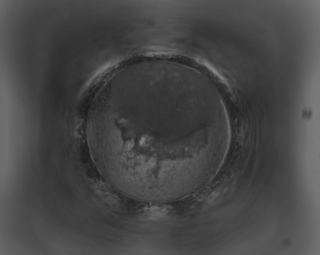 X0000095671351200801151055