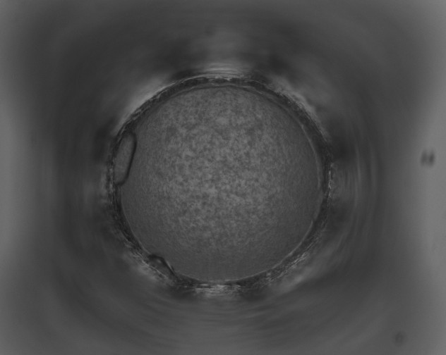 X0000095671352200801151055