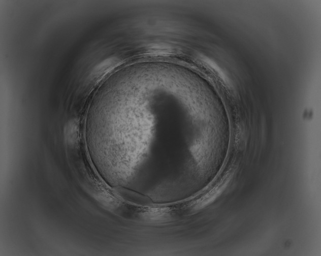 X0000095671353200801151055