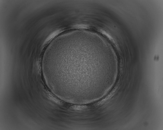 X0000095671354200801151055