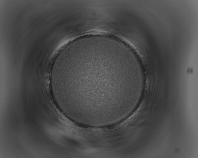 X0000095671355200801151054