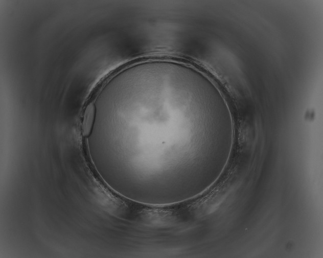 X0000095671356200801151054