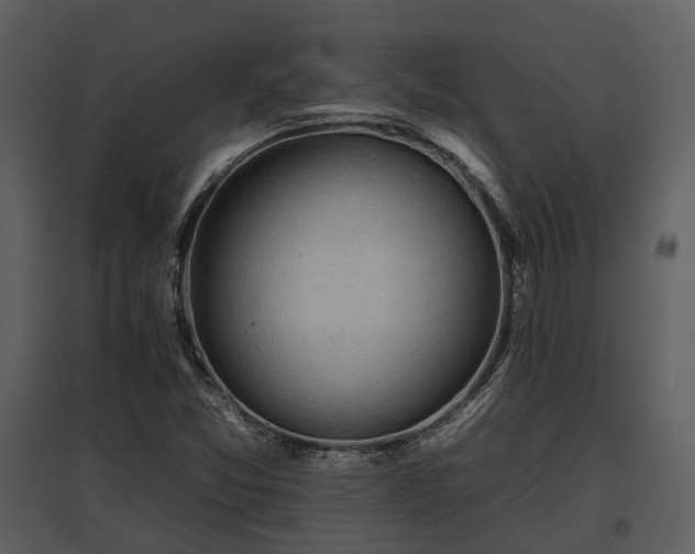 X0000095671357200801151054