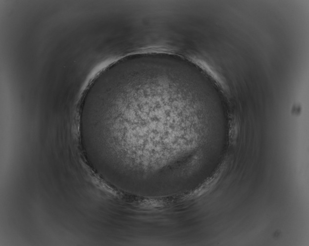 X0000095671358200801151054