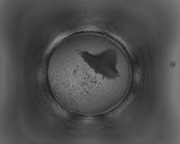 X0000095671359200801151054