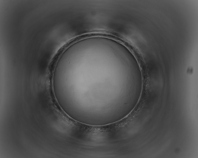 X0000095671360200801151054