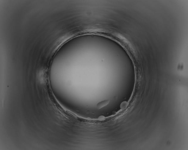 X0000095671361200801151054