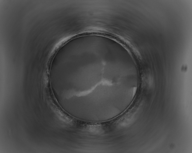 X0000095671363200801151054