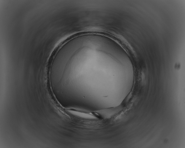 X0000095671364200801151054