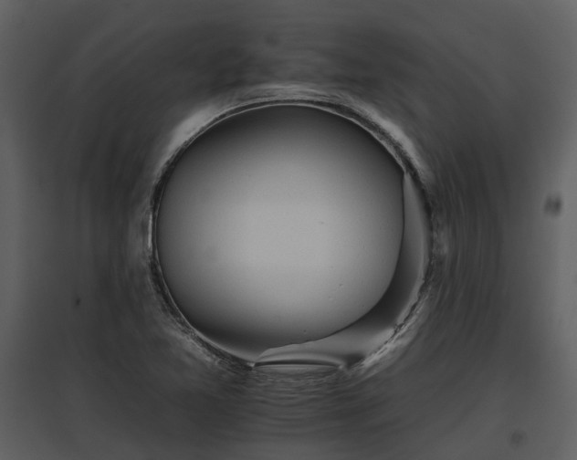 X0000095671365200801151054