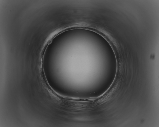 X0000095671366200801151054