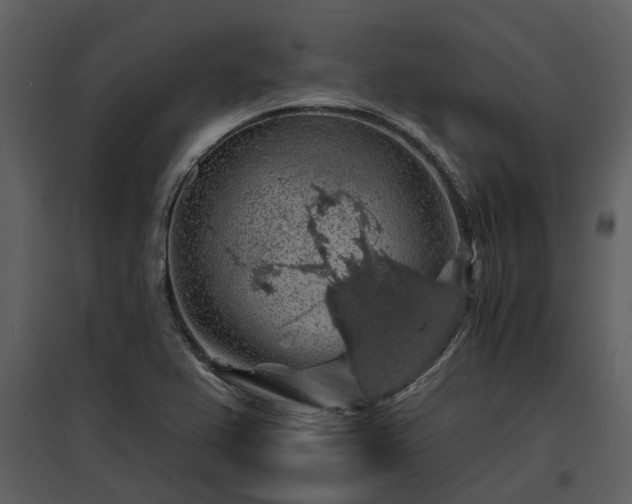 X0000095671367200801151054