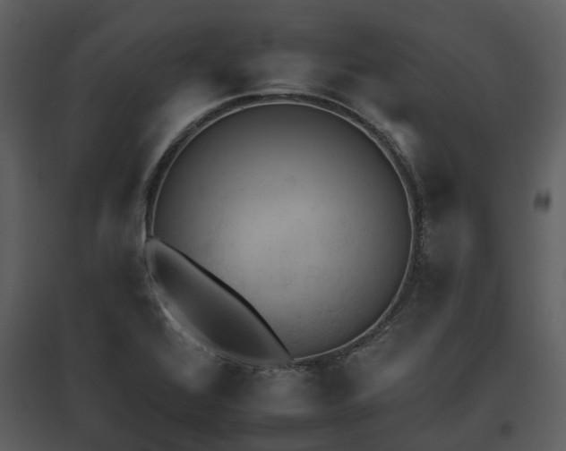 X0000095671368200801151054