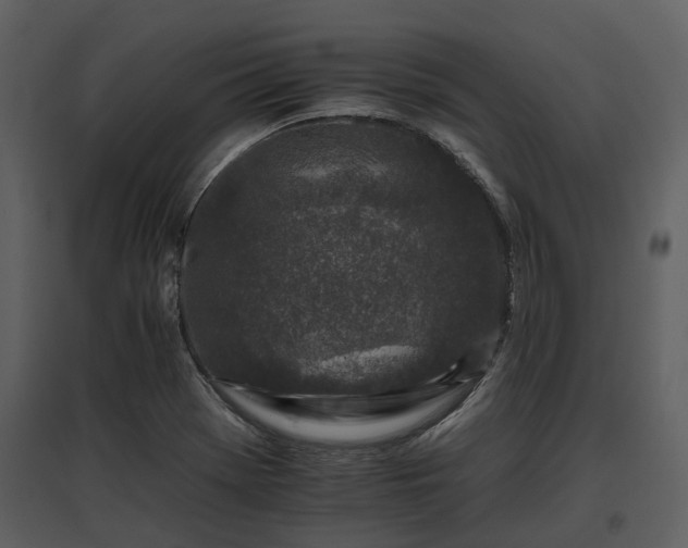 X0000095671369200801151054