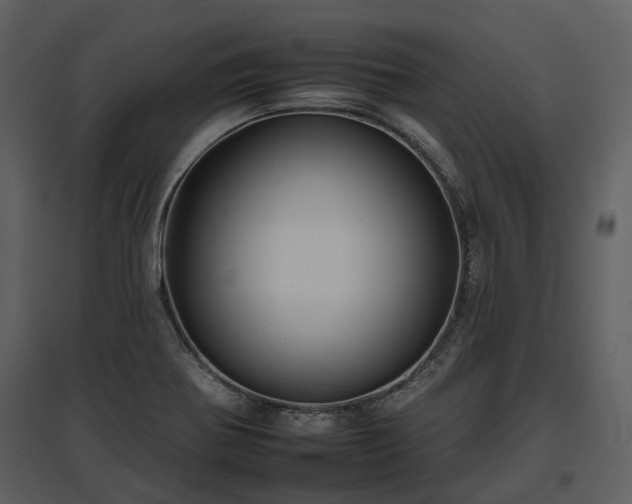 X0000095671370200801151054